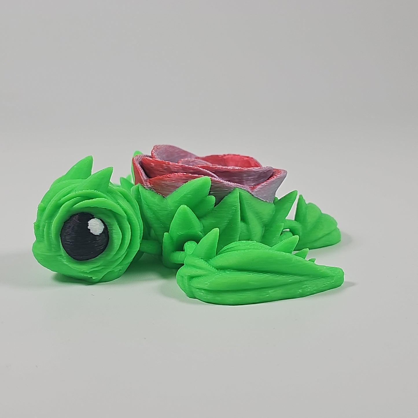 Rose Turtle Baby